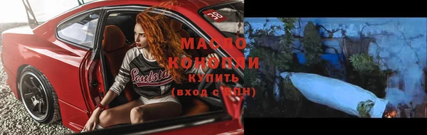 дживик Абинск