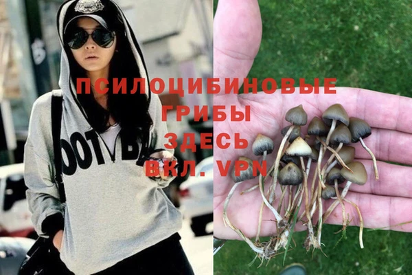 соль ск Алексин