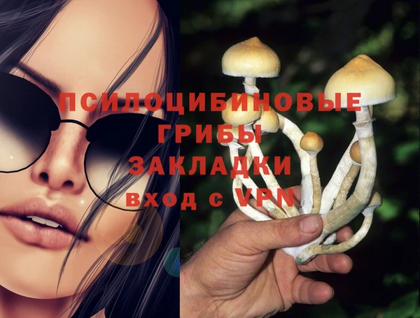 соль ск Алексин