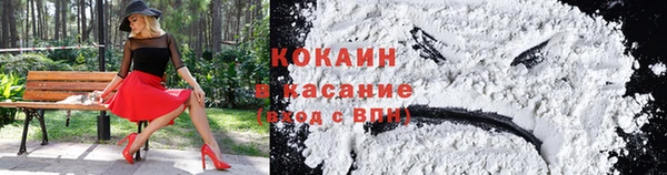 дживик Абинск